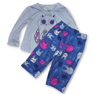 Carter's Blue and Pink Owl Pajama Set